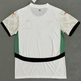 2025 Ivory Coast Away White Fans Soccer Jersey