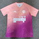 2025 Tunisia Special Edition Fans Soccer Jersey  突尼斯