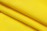 2025/26 BVB Yellow Windbreaker （A Set）