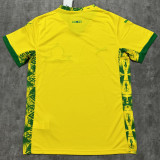 2025/26 Mamelodi Sundowns Home Yellow Fans Soccer Jersey 马梅洛迪日落