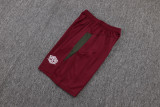2026/27 Fluminense Red Training Jersey (A Set)