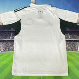 2025/26 Panathinaikos Away Fans Jersey  希超 帕纳辛奈科斯