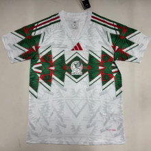 2026/27 Mexico Special Edition Fans Soccer Jersey