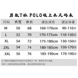 2026/27 Argentina Casual Quick Drying POLO T-Shirt    兰灰色
