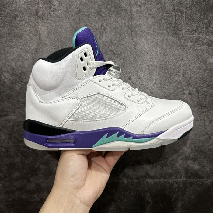@j5 white and purple colorway heel embroidered logo high top basketball shoes