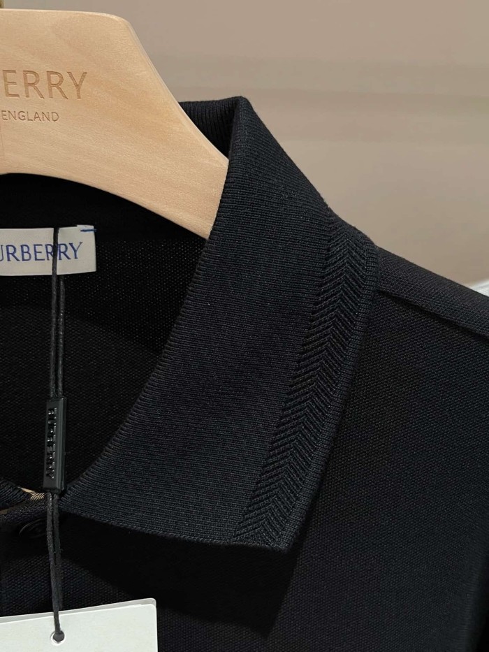 1:1 quality version Check Placket Embroidered Polo Tee 8 colors 29069300