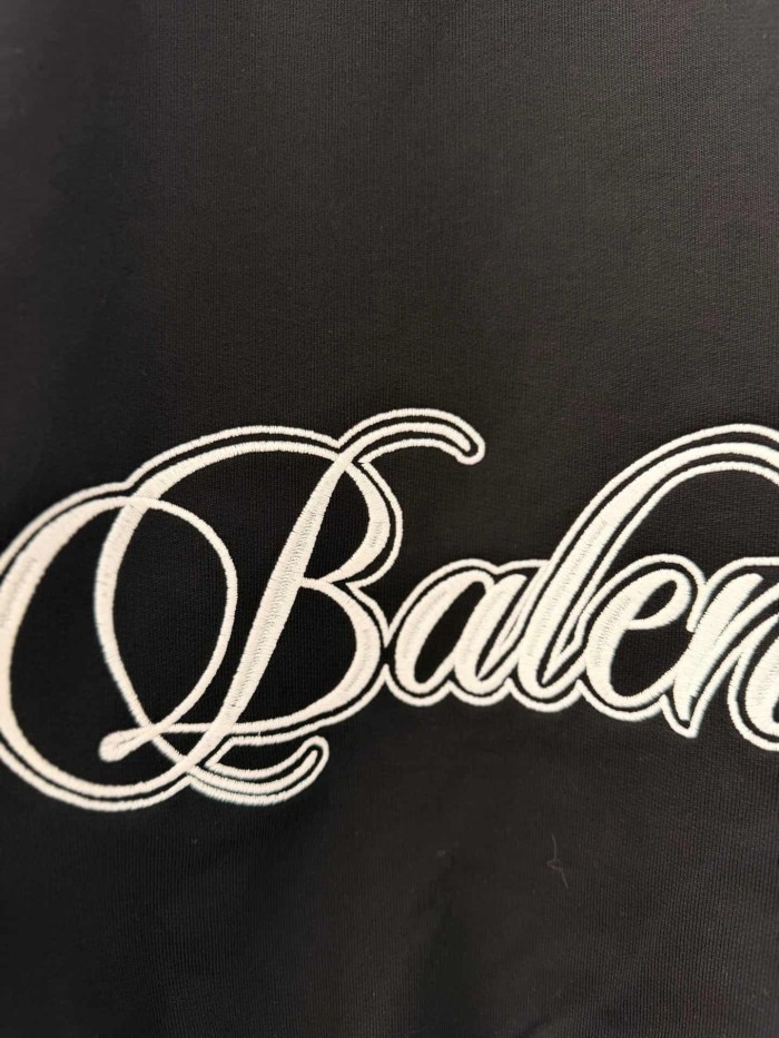 1:1 quality version Two-Sleeve Cursive Letter Matte Embroidered Hoodie 2 colors 28974530