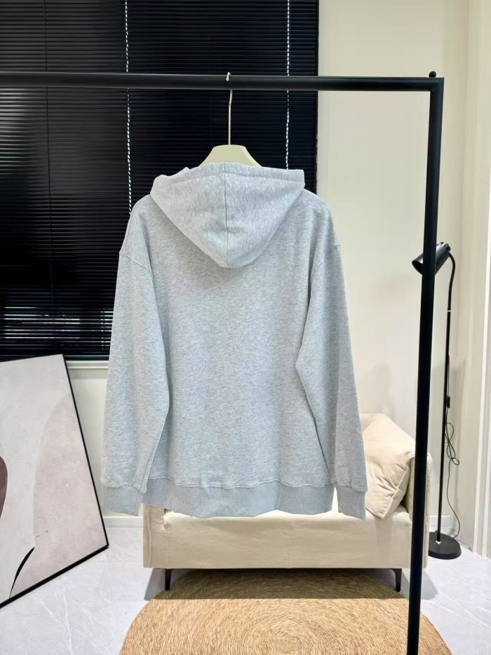 Silver Label Logo Hoodie 3 colors 28530193