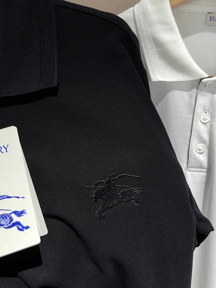 1:1 quality version Check Placket Embroidered Polo Tee 8 colors 29069300