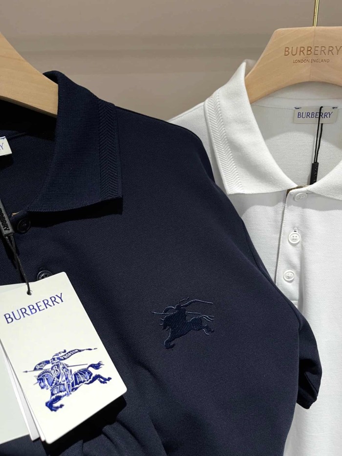 1:1 quality version Check Placket Embroidered Polo Tee 8 colors 29069300