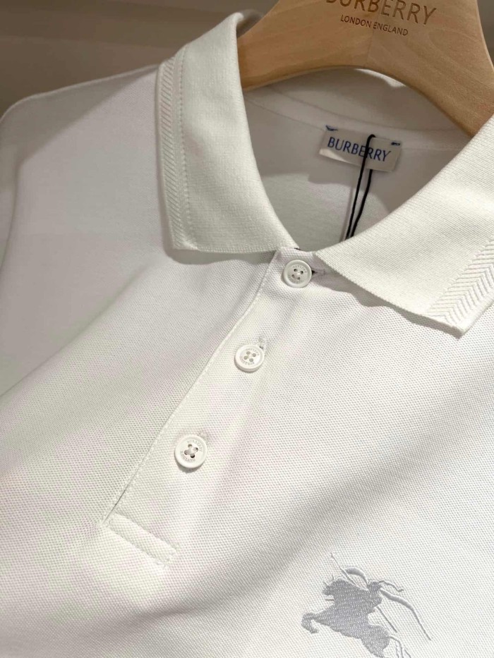 1:1 quality version Check Placket Embroidered Polo Tee 8 colors 29069300