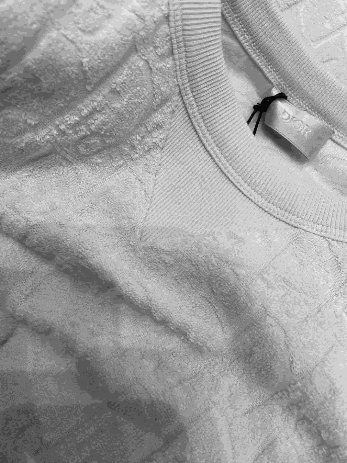 1:1 quality version Embossed Jacquard Cotton T-Shirt 2 colors 28960959