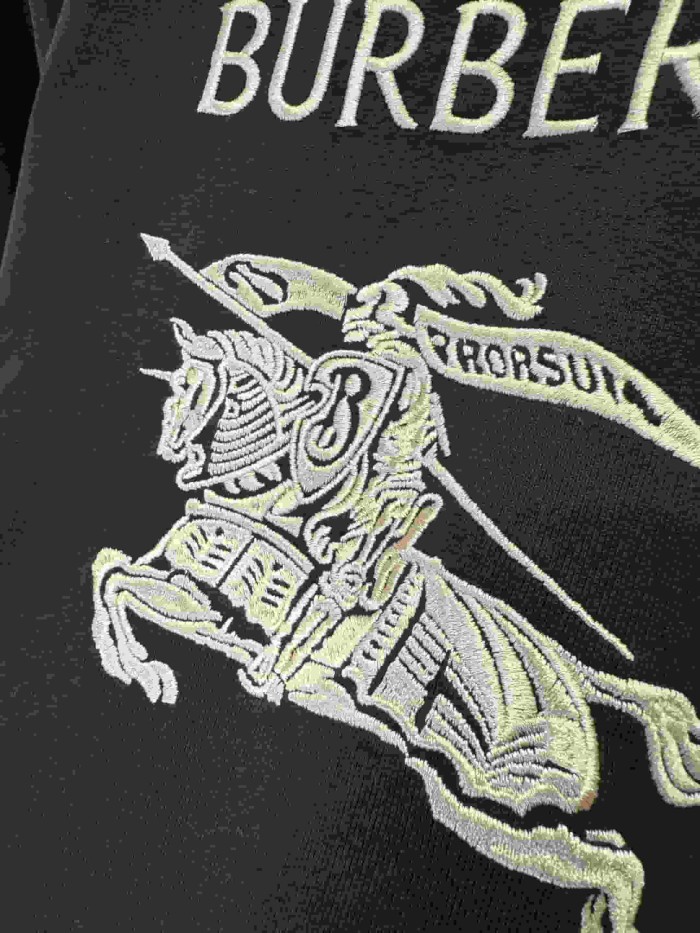 1:1 quality version  equestrian knight emblem embroidered T-shirt 2 colors 28966859