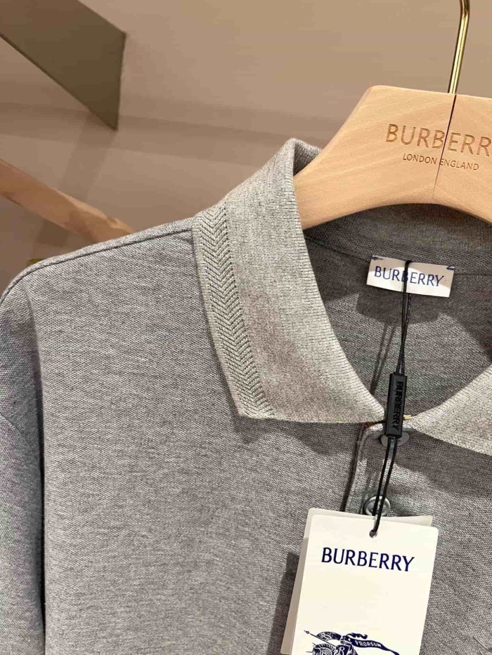 1:1 quality version Check Placket Embroidered Polo Tee 8 colors 29069300