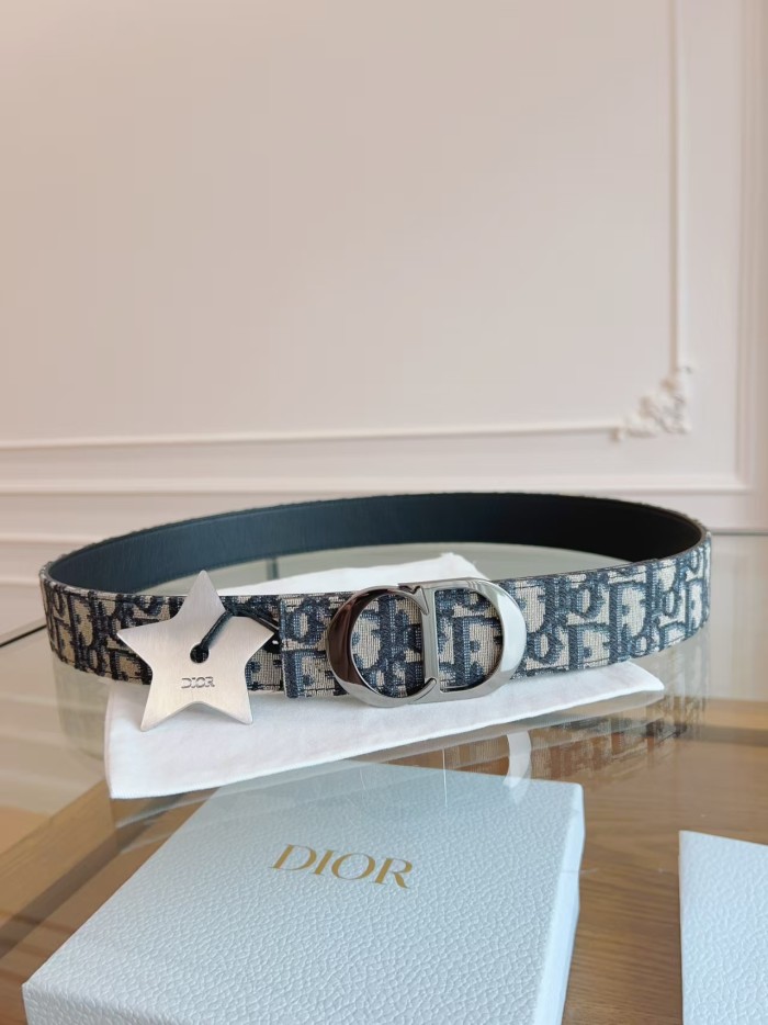 1:1 quality version Oblique Monogram CD Buckle Belt 21 colors 28894830