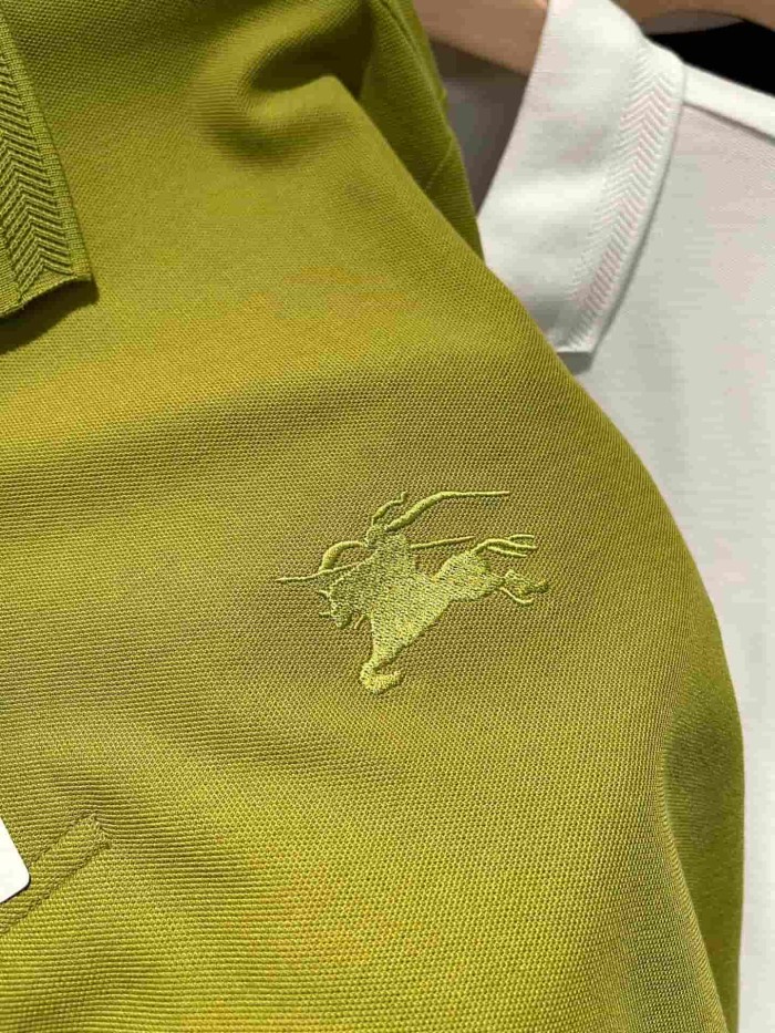 1:1 quality version Check Placket Embroidered Polo Tee 8 colors 29069300