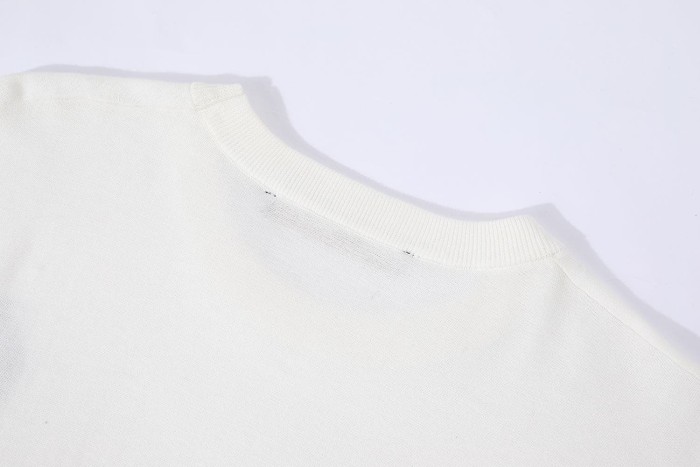 1:1 quality version Letter Jacquard Cotton Knit Print T-Shirt 2 colors 28997771