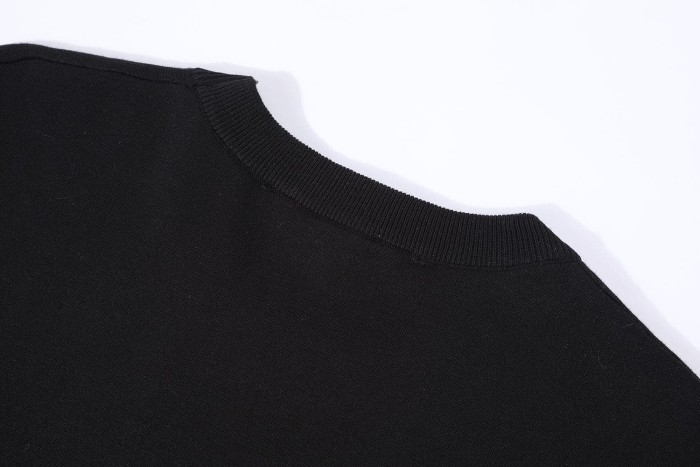 1:1 quality version Letter Jacquard Cotton Knit Print T-Shirt 2 colors 28997771