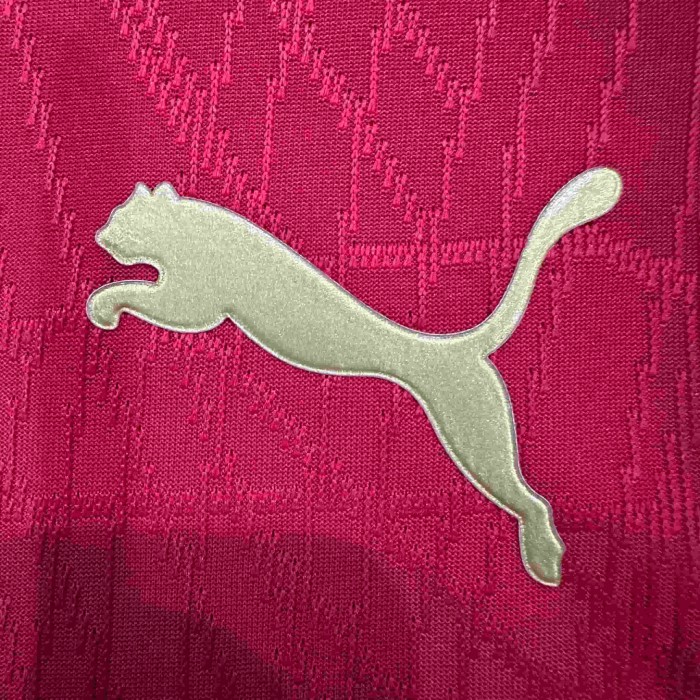 2026/2027 Morocco Atlas Lion Home Jersey 2 Kind 29085322