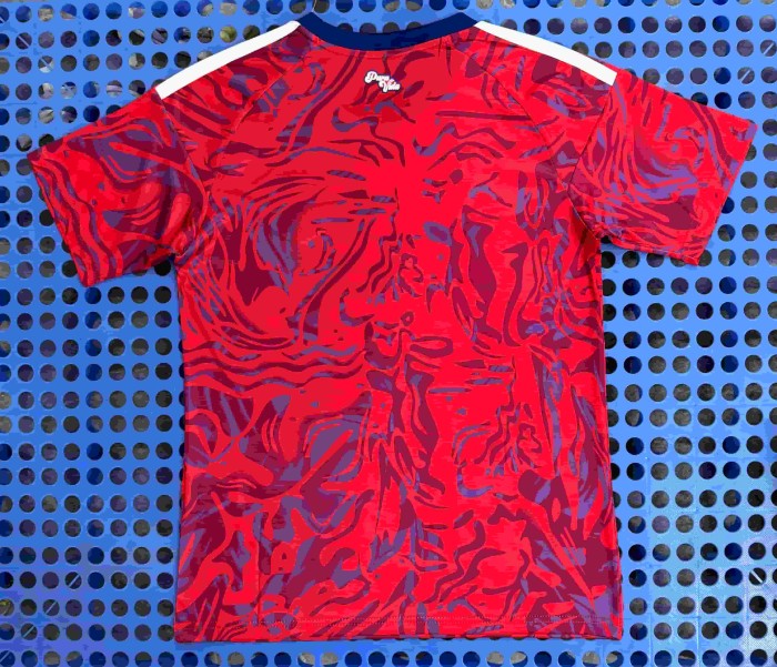 2026/2027 Costa Rica Home Replica Jersey 29093782