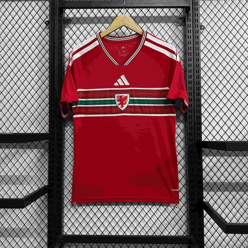2026/2027 Wales Red Dragon Green Pattern Home Replica Jersey 29082269