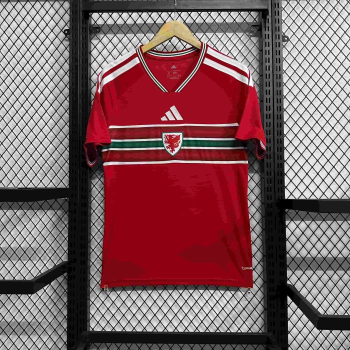 2026/2027 Wales Red Dragon Green Pattern Home Replica Jersey 29082269