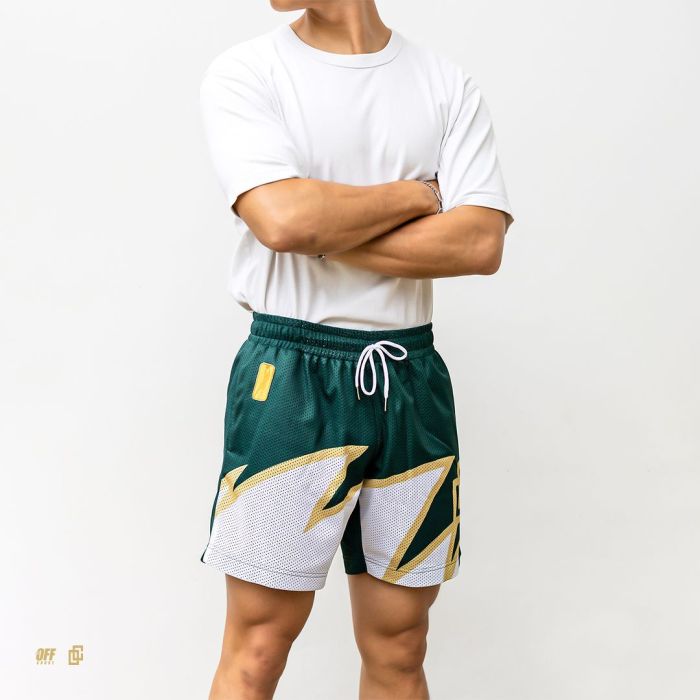 Small Logo Flame Shorts 6 colors