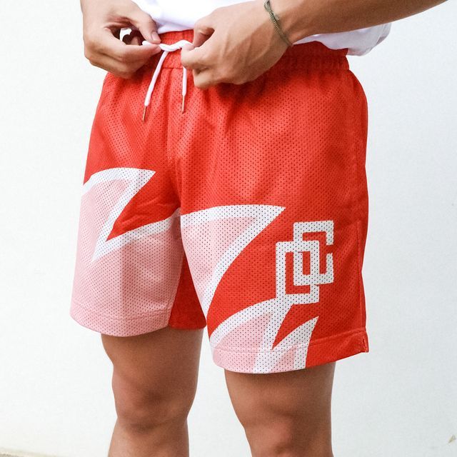 Small Logo Flame Shorts 6 colors