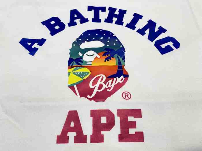 Beach Sunset Ape Head Two Color Letter Print Tee 2 colors