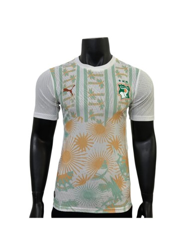 2026/2027 Ivory Coast Totem Away Authentic Jersey 29082273