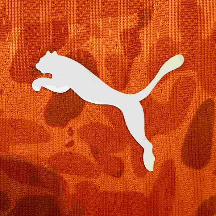 2026/2027 Ivory Coast Orange Leopard Print Home Authentic Jersey 29082272