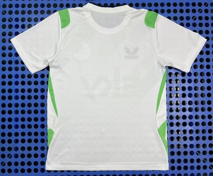 2026/2027 Ireland Away Replica Jersey 29093777