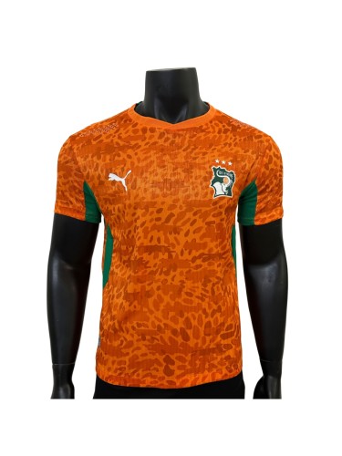 2026/2027 Ivory Coast Orange Leopard Print Home Authentic Jersey 29082272