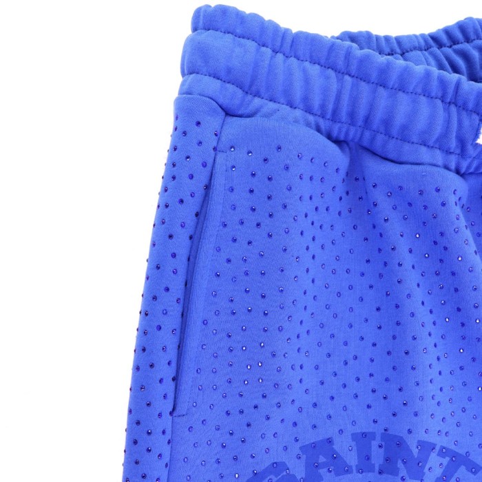 Lion Pattern All-over Rhinestone Print Zip Up Hoodie & Shorts Set 4 colors 29077777
