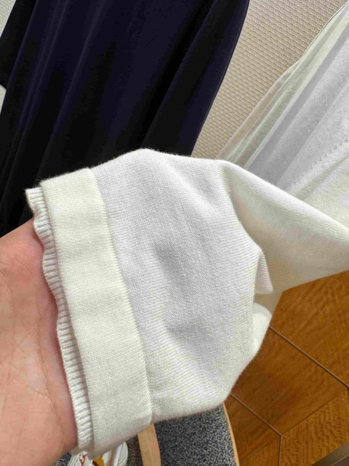 1:1 quality version Simple Letter Embroidery Button Down Collar Polo Shirt 2 colors 29114939