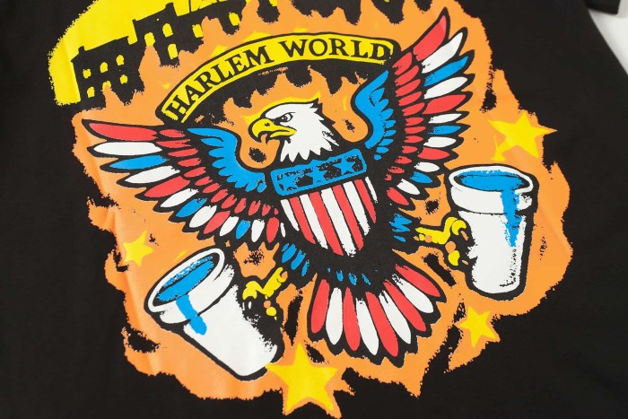 Retro American Street Eagle Urban Scene Dual Sleeve Label Print Contrast Patriotic Typography Tee 29302279