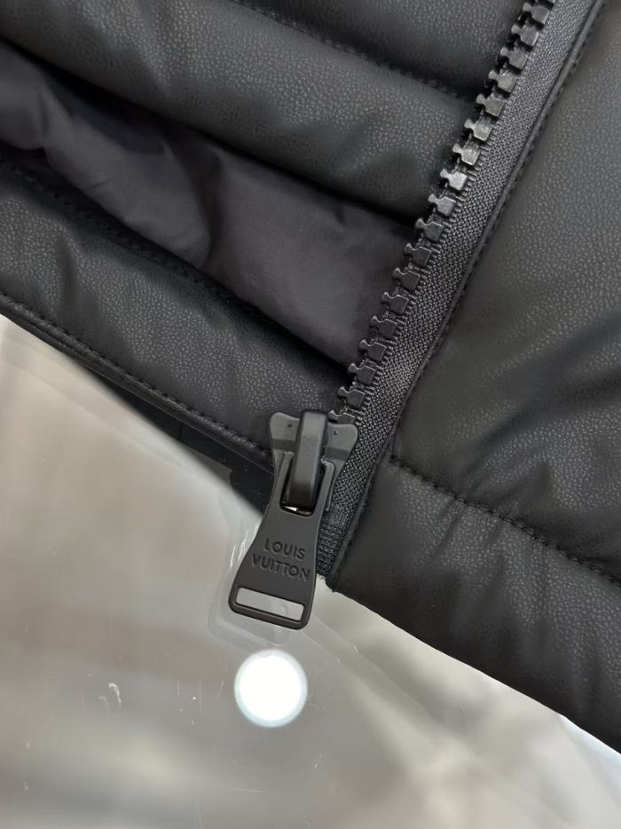 1:1 quality version Embossed Monogram Hooded Stand Collar Zip-Up Down Jacket 2 colors 29481556