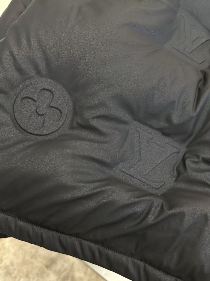 1:1 quality version Embossed Monogram Hooded Stand Collar Zip-Up Down Jacket 2 colors 29481556