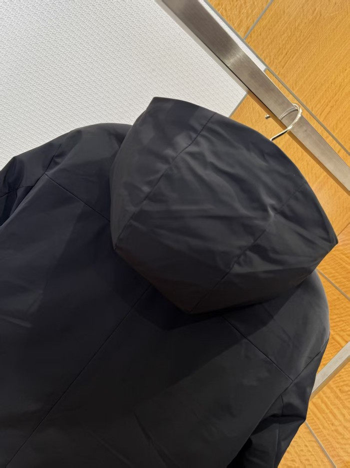 1:1 quality version Embossed Monogram Hooded Drawstring Wind Down Puffer Jacket 2 colors 29504118
