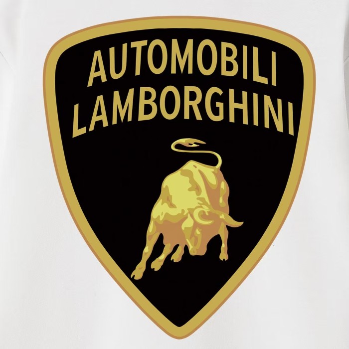 Lamborghini Collab White Shield Bull Logo Fleece Lined Oversized Hoodie 3 colors 29510953