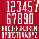 2026 Denmark Home Fans Soccer Jersey