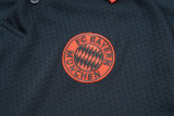 25-26 Bayern High Quality Polo Tracksuit