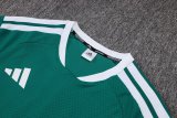 2025 AD Player Version Training Short Suit —Green 绿色