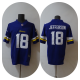 2023 NFL Minnesota Vikings New Pattern Jersey