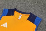 2024 AD Orange Tank Top And Shorts Suit