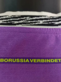 25-26 Dortmund Purple Special Edition Player Version Soccer Jersey