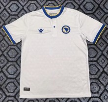 2026 Bosnia And Herzegovina Fans Soccer Jersey