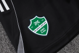 25-26 Al-Ahli Saudi High Quality Tank Top And Shorts Suit
