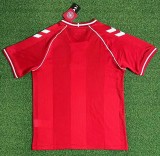 2026 Denmark Home Fans Soccer Jersey