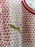 25-26 PSV Fourth Special Edition Fans Soccer Jersey
